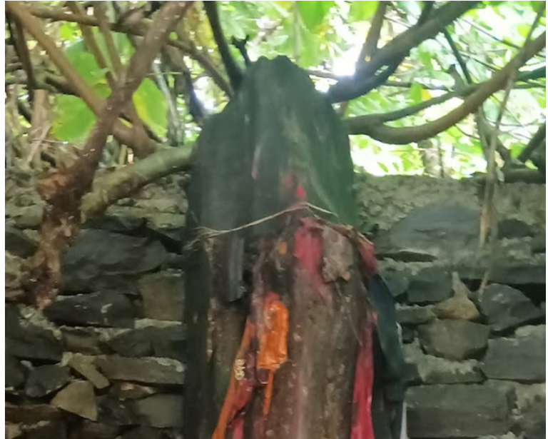 dhuseni-rasuwa-bhume