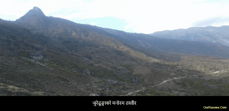 जुरेढुङ्‍गा (सिप्पुङ)